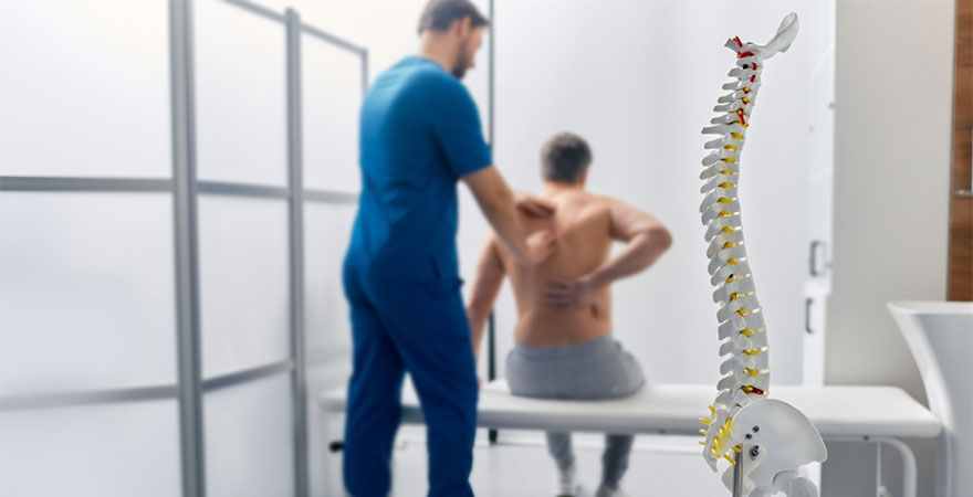 Posture, Pain, and Performance: The Science of Spinal Optimization